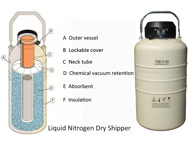 Vapor shipper YDH/ liquid nitrogen dry shipper