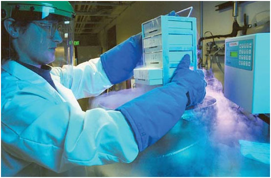 Cryopreservation, the preservation of cells and tissue by freezing